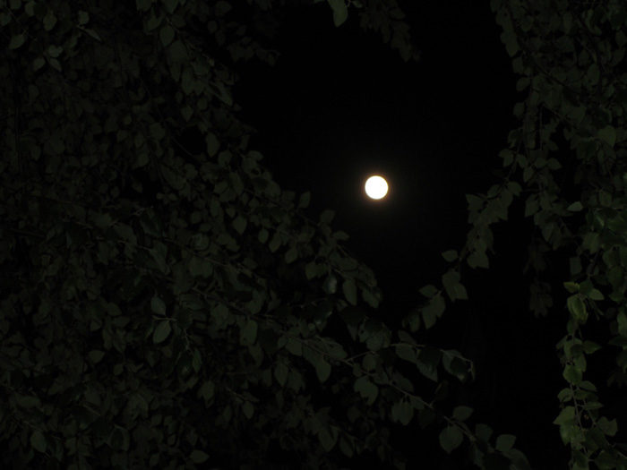 Spooky Moon - 1