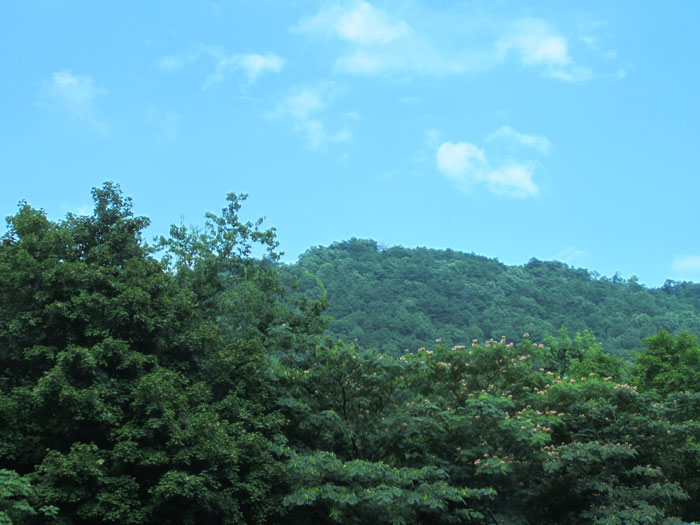 Tennessee Traffic Jam - 2