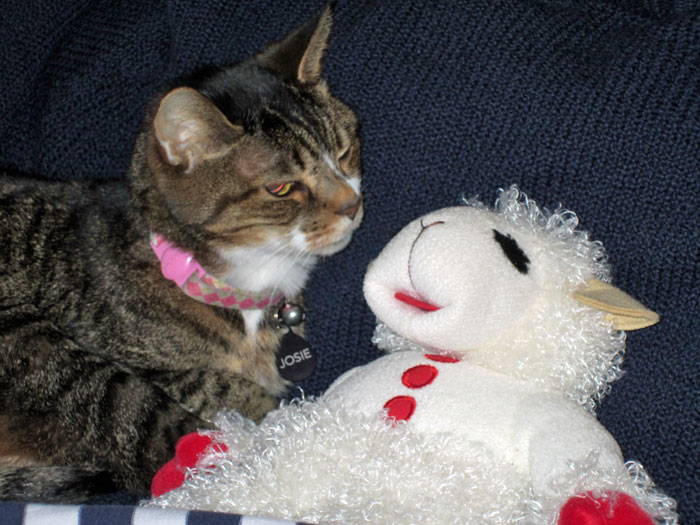 Kitty-mon & Lamb Chop - 2