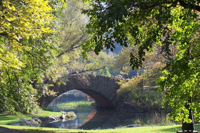 Central Park - Fall 2005