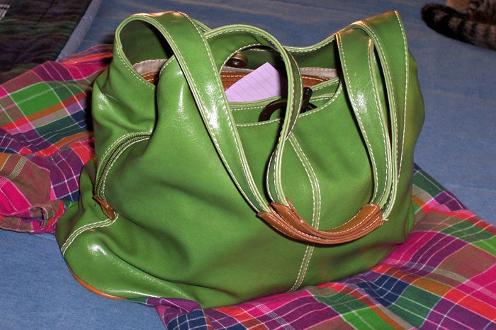 Green Purse and Pink Plaid